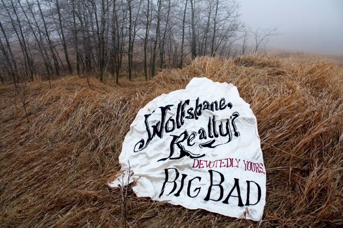 A photo of a scrubby, foggy countryside landscape in winter with some barren, leafless trees in the background. All the vegetation is brown. Spread across a big, brown, dead bush in the foreground is a large white sheet with the words 'Wolfsbane, really? Devotedly yours, BIG BAD' hand-painted onto it.