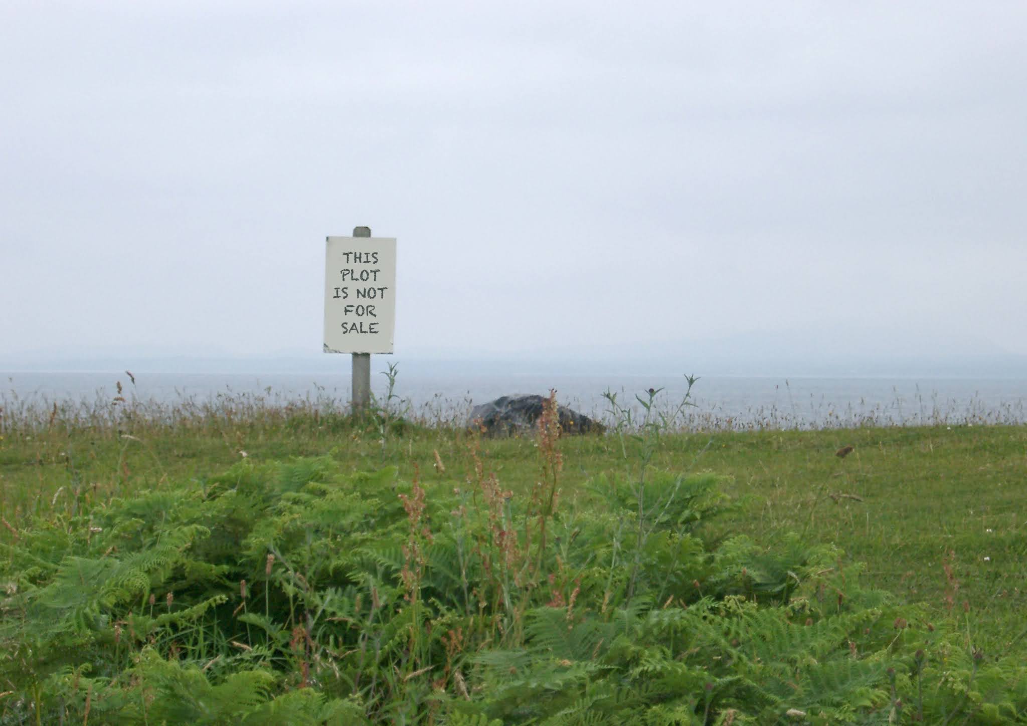 Photo showing a foggy, barely-visible lake in the distance, under grey skies, with green grass and ferns in the background. A sign in the grass reads 'THIS PLOT IS NOT FOR SALE'