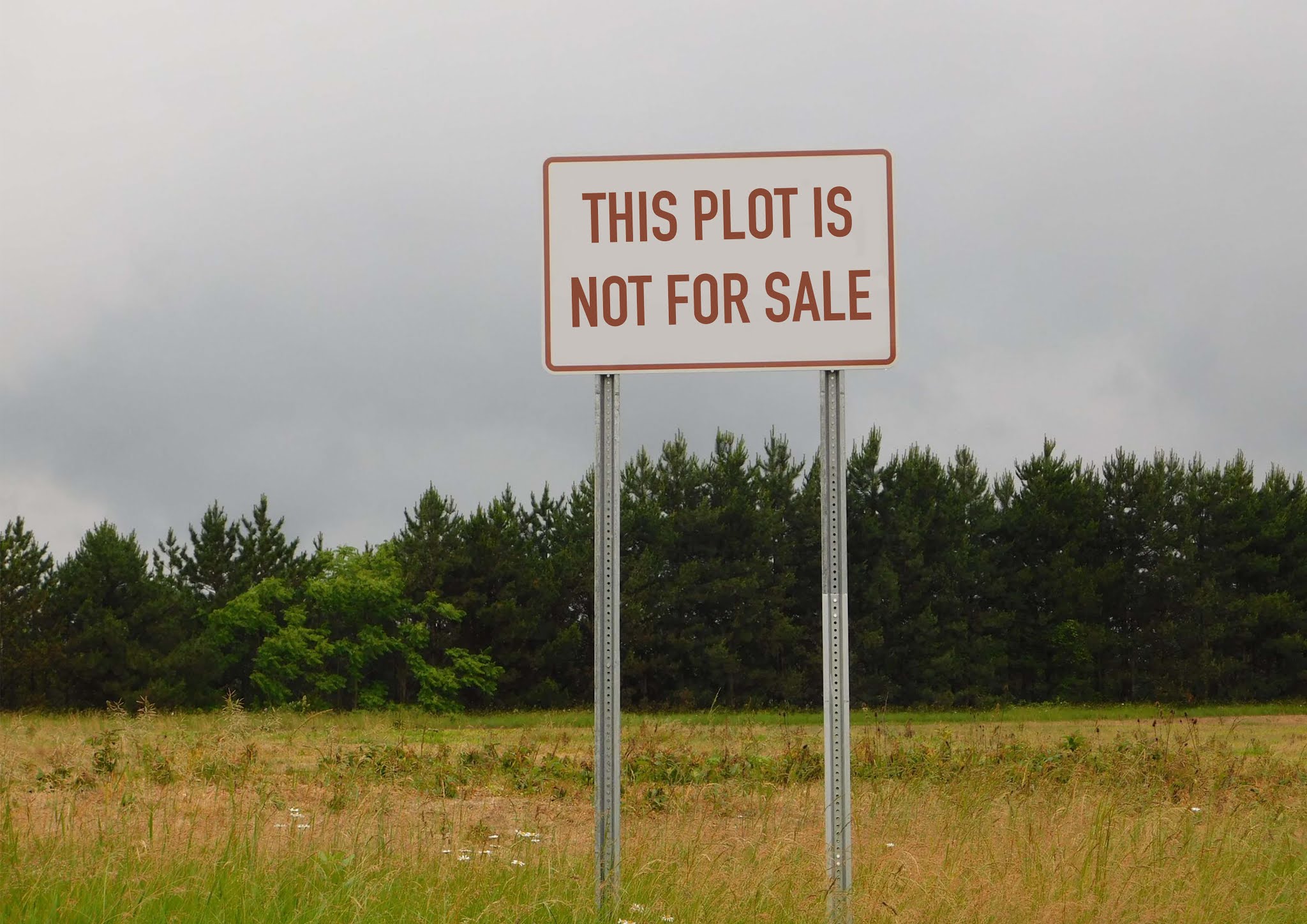 Photo of a patch of scrubby grass with conifers in the background, under dark grey skies. In the foreground on metal stilts a sign reads 'THIS PLOT IS NOT FOR SALE'