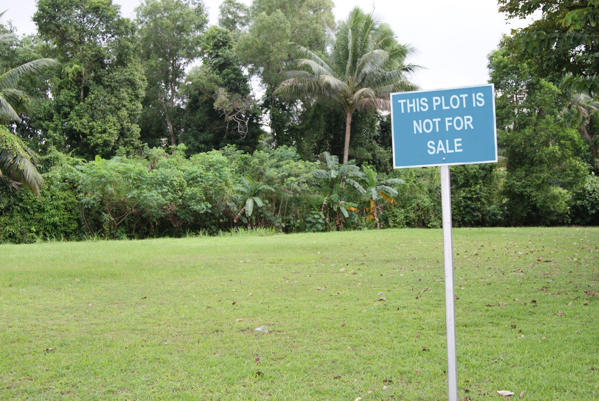 Photo of a green patch of grass with lush trees and plants in the background and a blue sign in the foreground saying "THIS PLOT IS NOT FOR SALE"