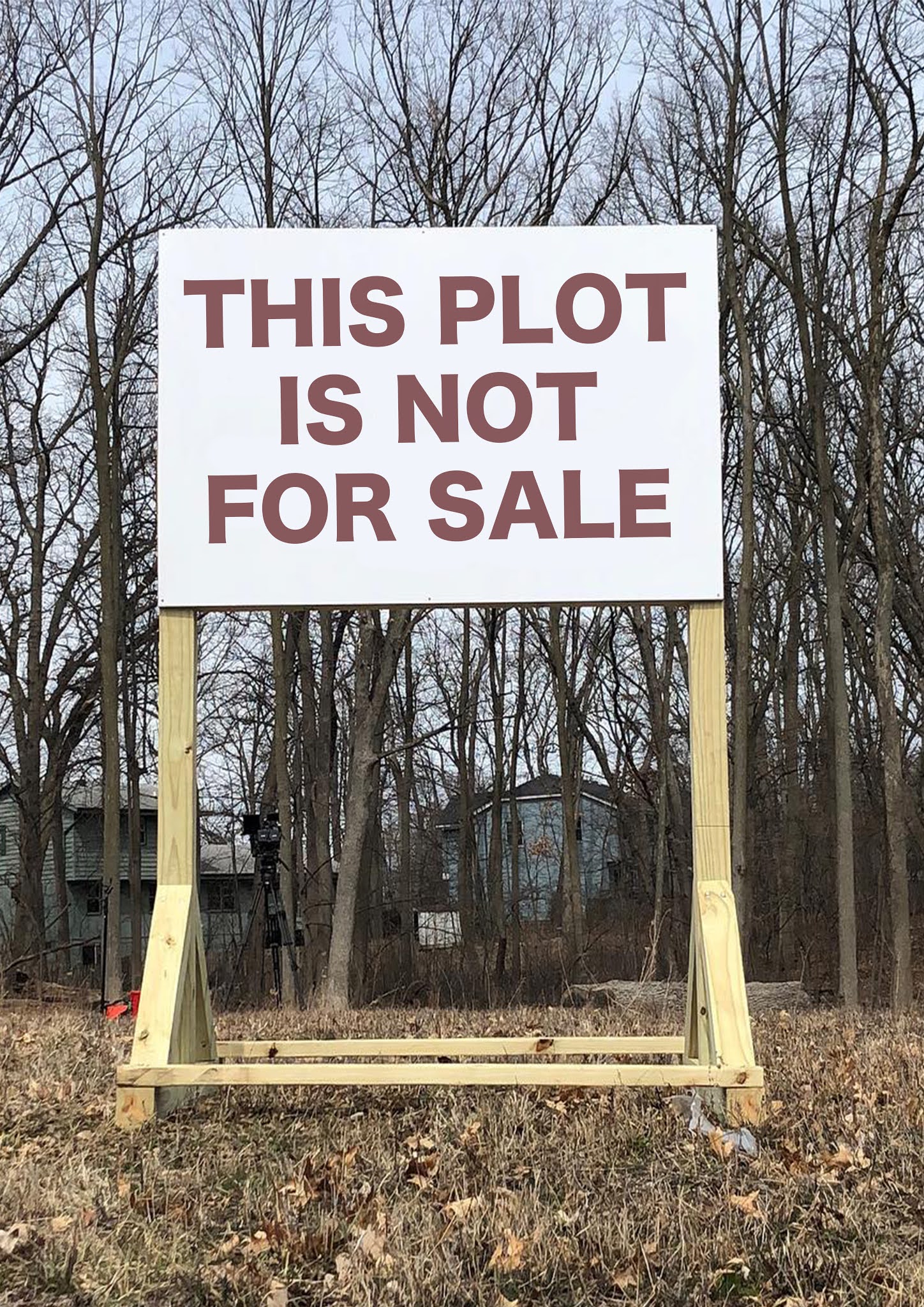 Photo of some densely-packed tall trees with no leaves. Houses can be seen in the background through the trees, A large white sign on wooden stilts in the foreground reads 'THIS PLOT IS NOT FOR SALE'