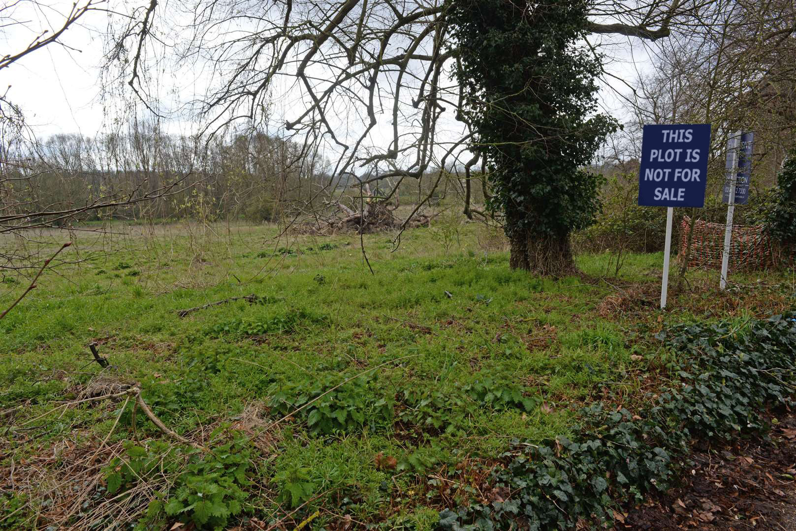 Photo of a grassy plot of land next to a path with trees and ivy surrounding and grey skies. A blue sign on the right reads 'THIS PLOT IS NOT FOR SALE'